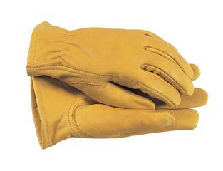 Town & Country TGL105M Premium Leather Gloves Ladies' - Medium T/CTGL105M
